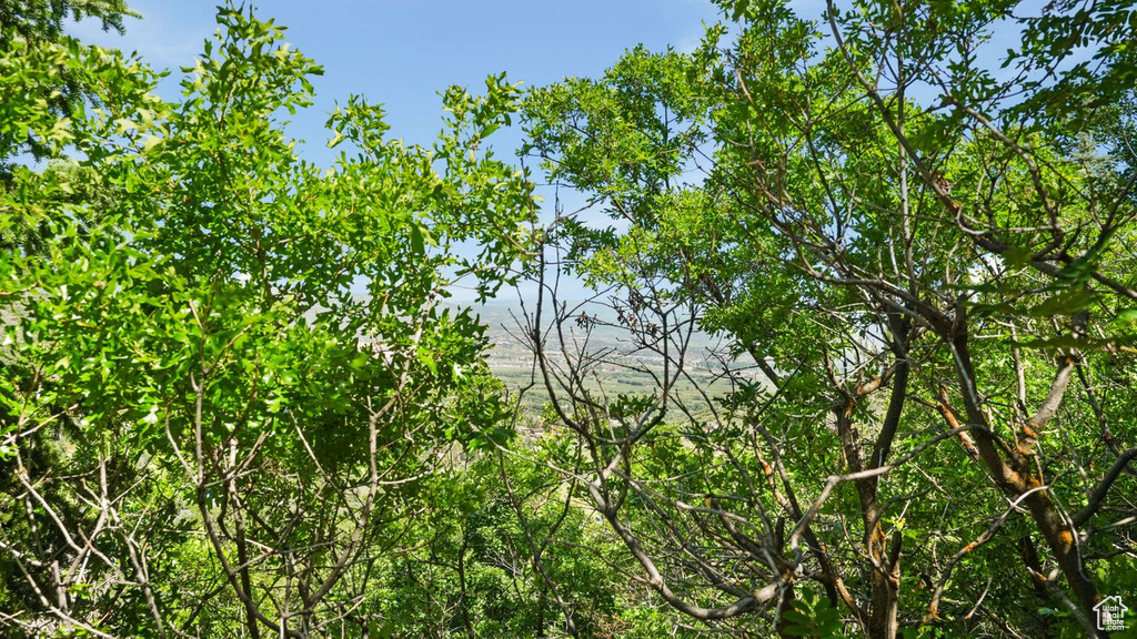 View of nature