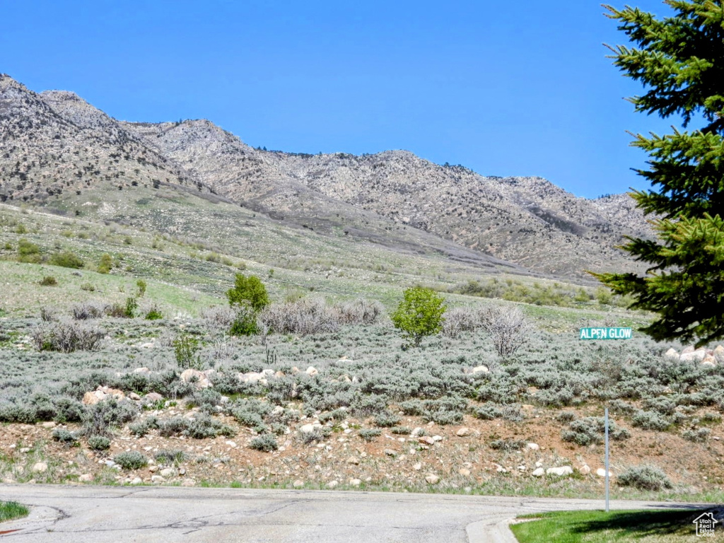 Mountain view