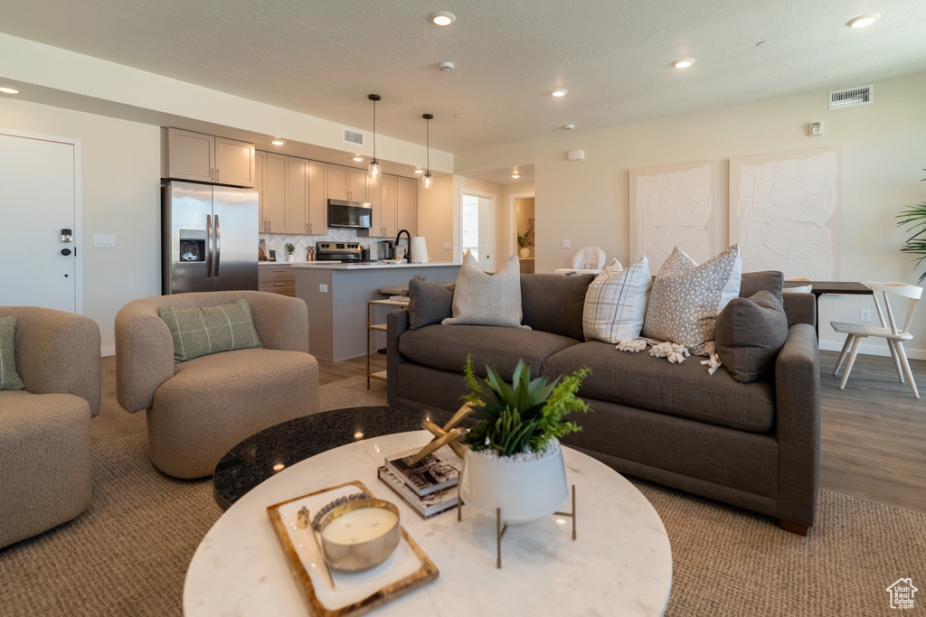 Living room with sink and wood-type flooring