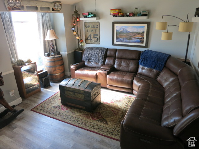 Living room featuring wood-type flooring