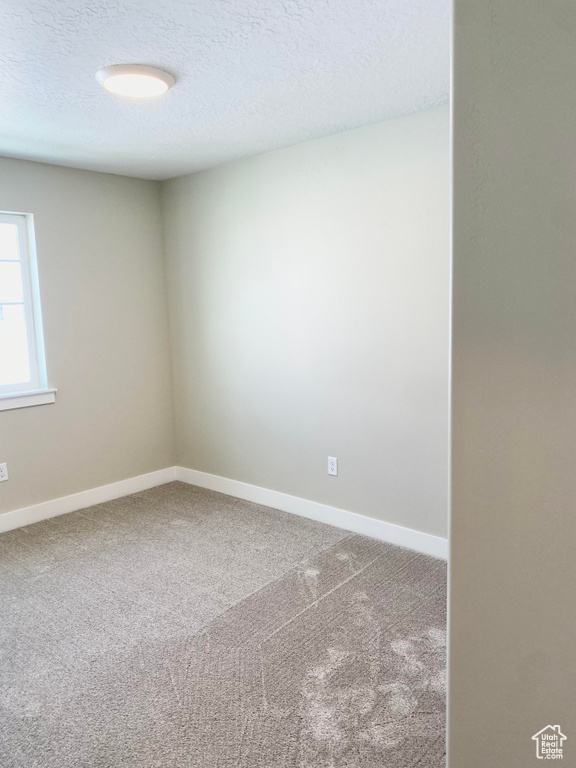 Unfurnished room with a textured ceiling and carpet floors