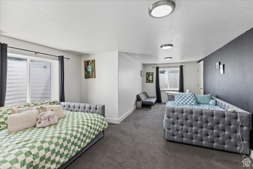 Bedroom featuring multiple windows and dark carpet