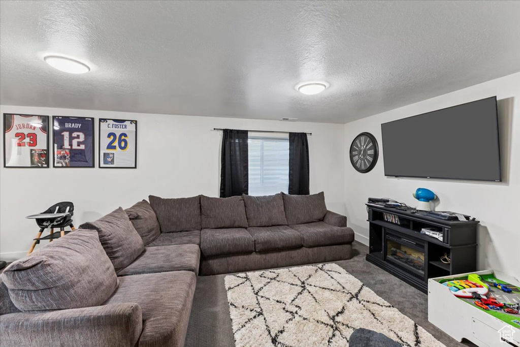 Carpeted living room featuring a textured ceiling