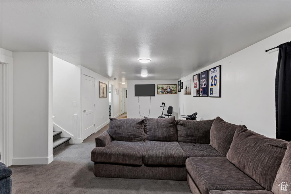 Living room with carpet flooring and a textured ceiling