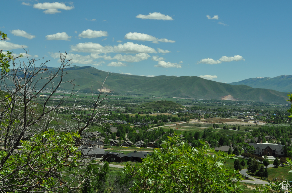 View of property view of mountains