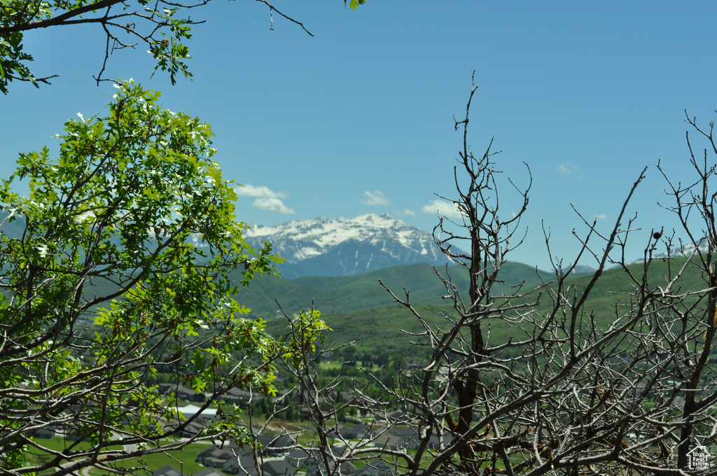 View of mountain view