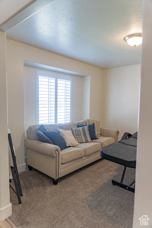 Living room featuring carpet and a textured ceiling