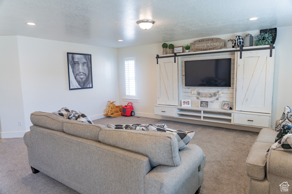 Carpeted living room featuring a barn door and a textured ceiling