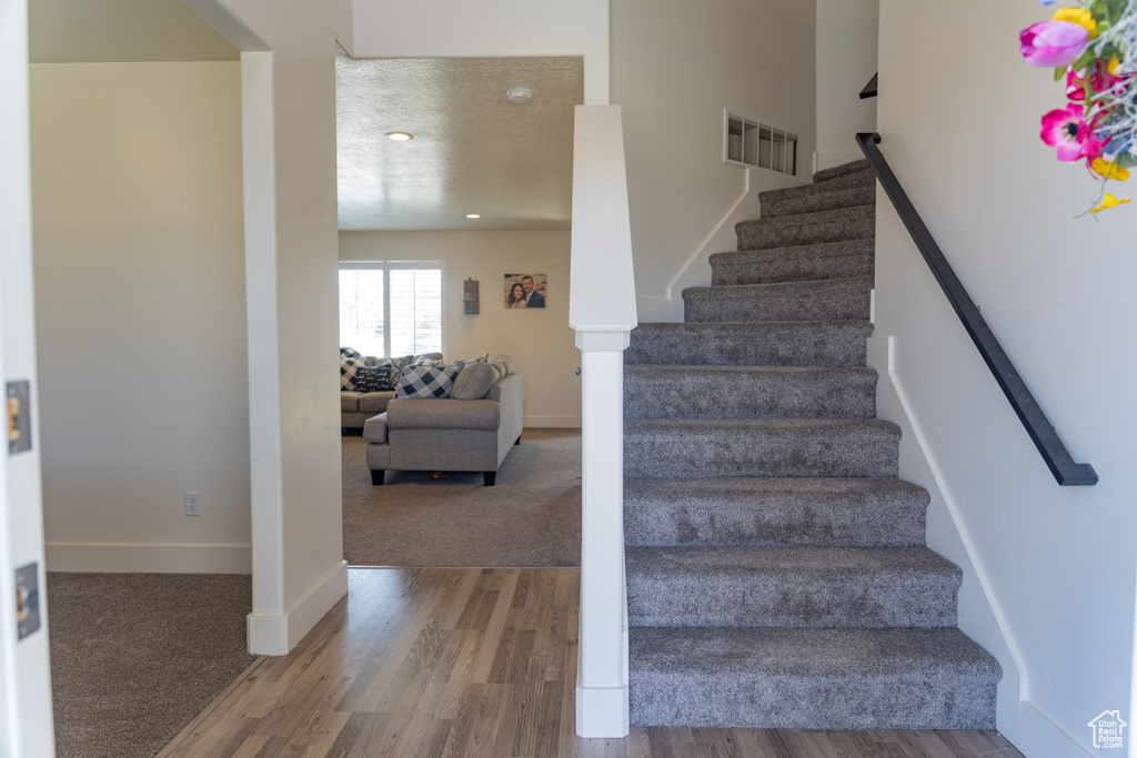 Stairs with carpet flooring