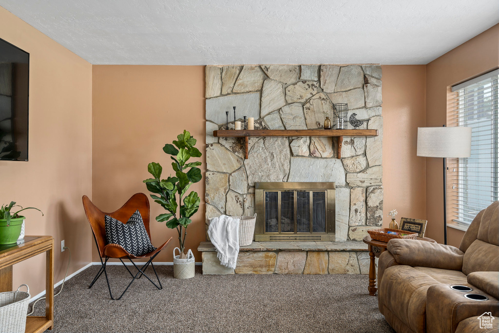 Living room with a stone fireplace, a textured ceiling, and carpet floors