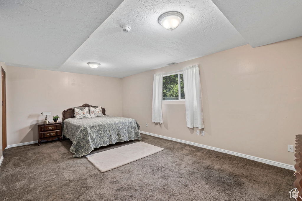 Bedroom featuring carpet floors and a textured ceiling