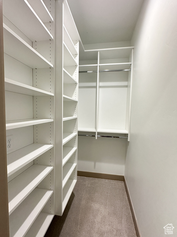 Spacious closet with dark colored carpet