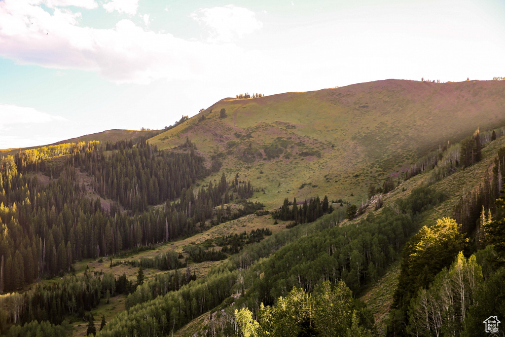 View of mountain feature