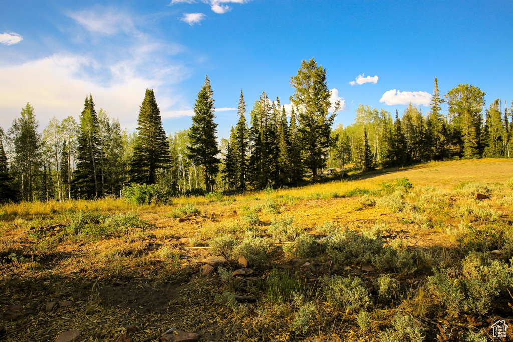 View of nature