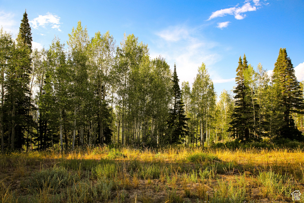 View of nature