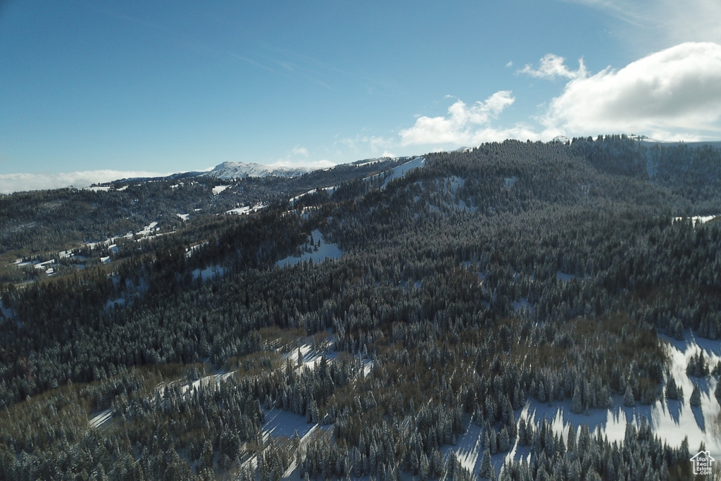 View of property view of mountains