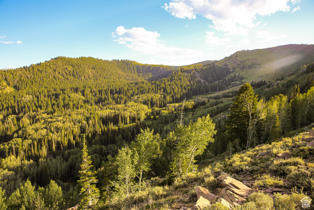 View of mountain feature