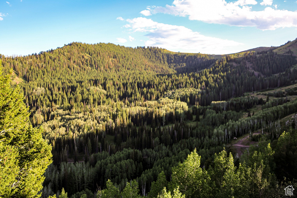 View of mountain feature