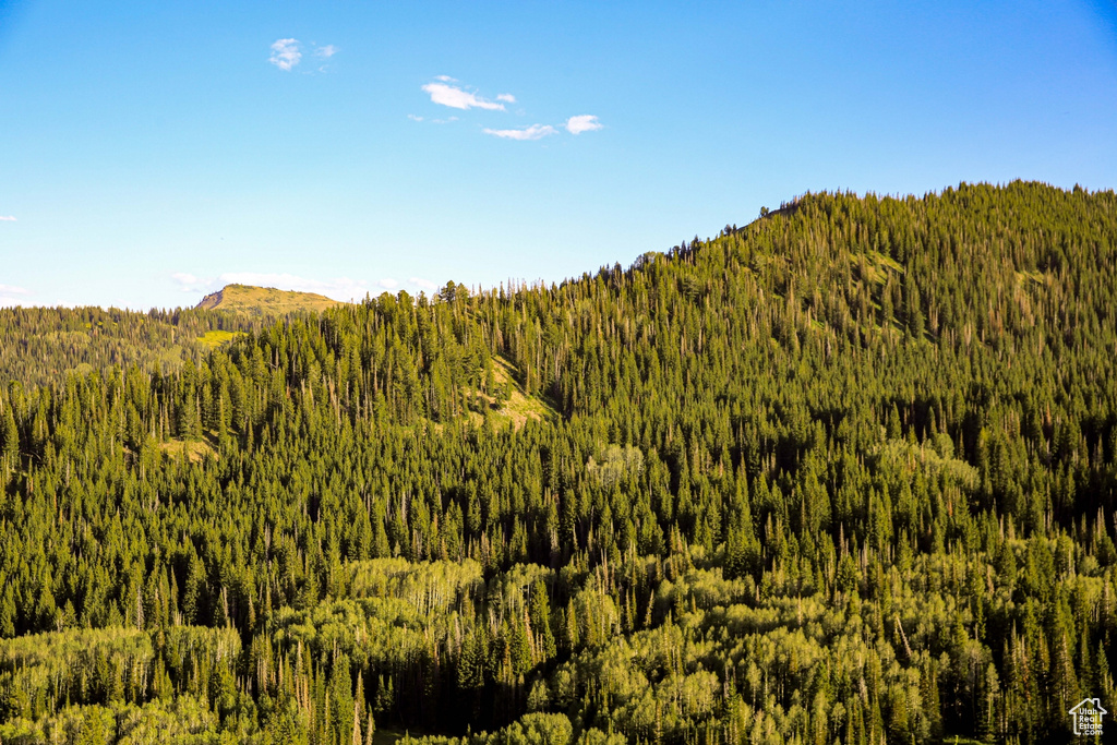 View of mountain feature