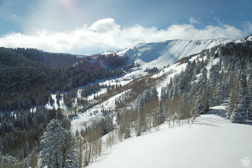 View of mountain view