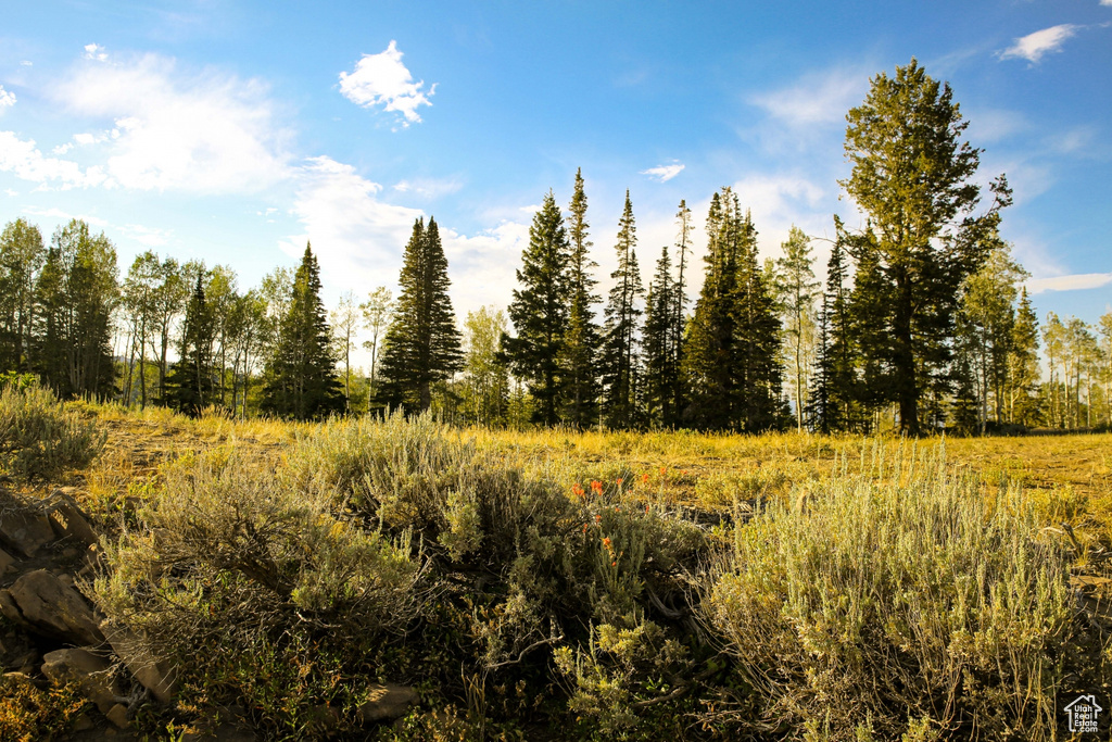 View of mother earth's splendor