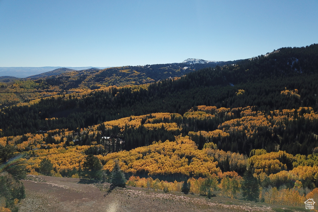 View of mountain view