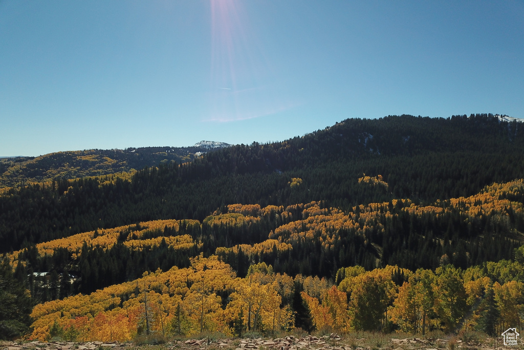 View of mountain view