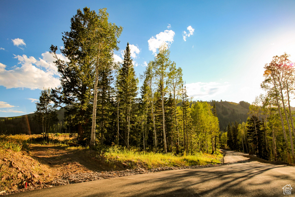 View of road