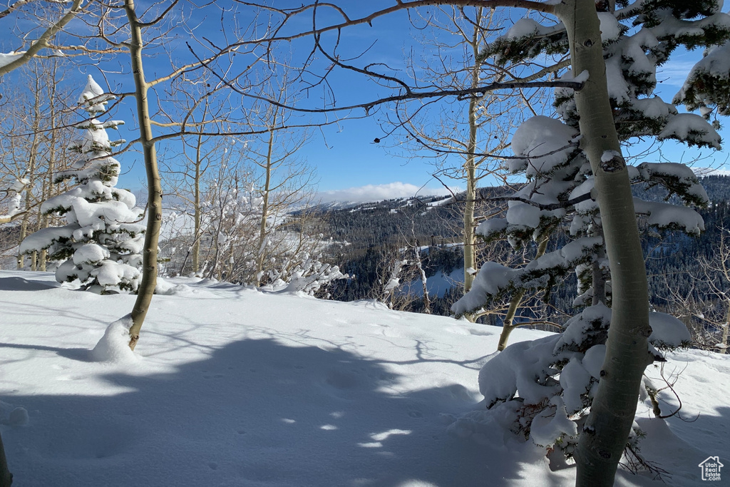 View of yard covered in snow