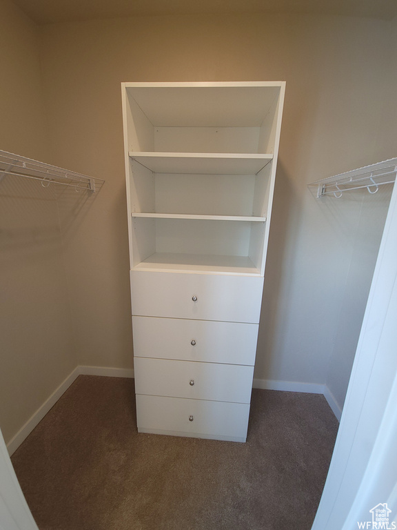 Walk in closet featuring carpet floors