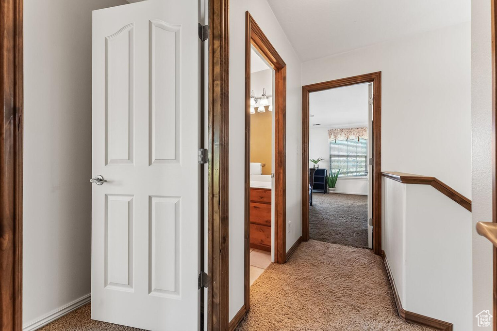 Hallway with carpet