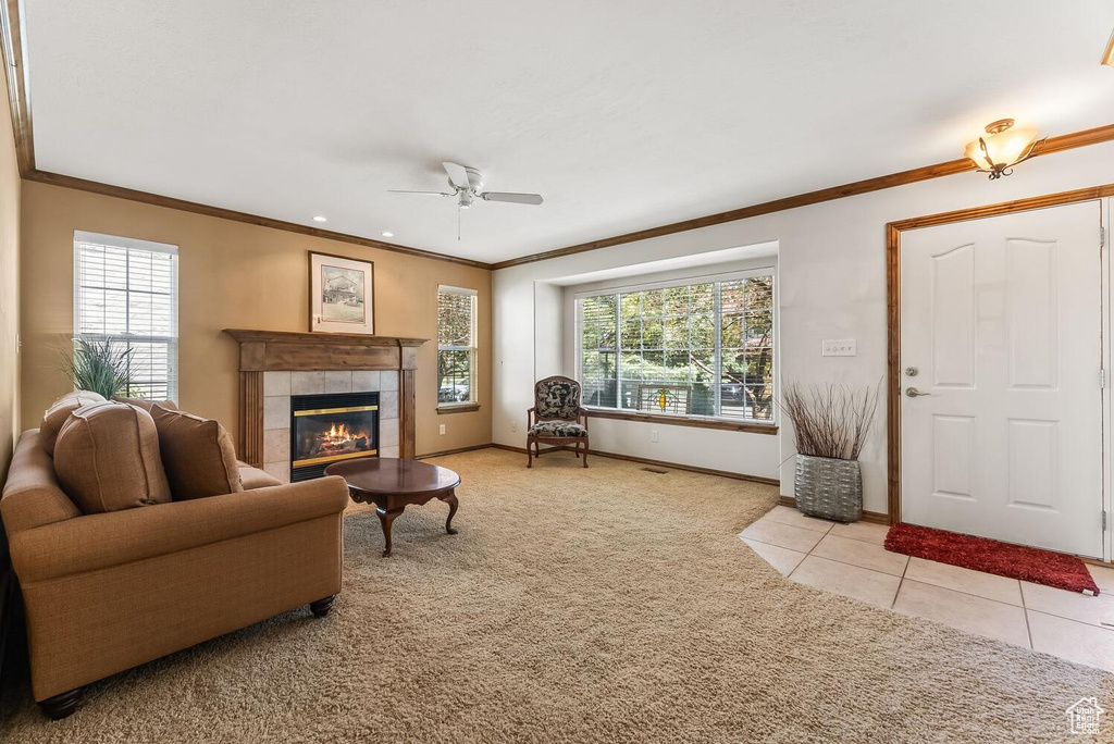 Carpeted living room featuring ceiling fan, a fireplace, and ornamental molding