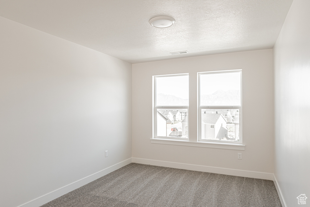 Carpeted spare room with a textured ceiling and plenty of natural light