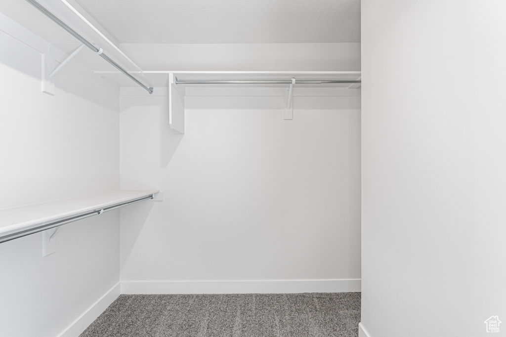 Walk in closet with carpet floors