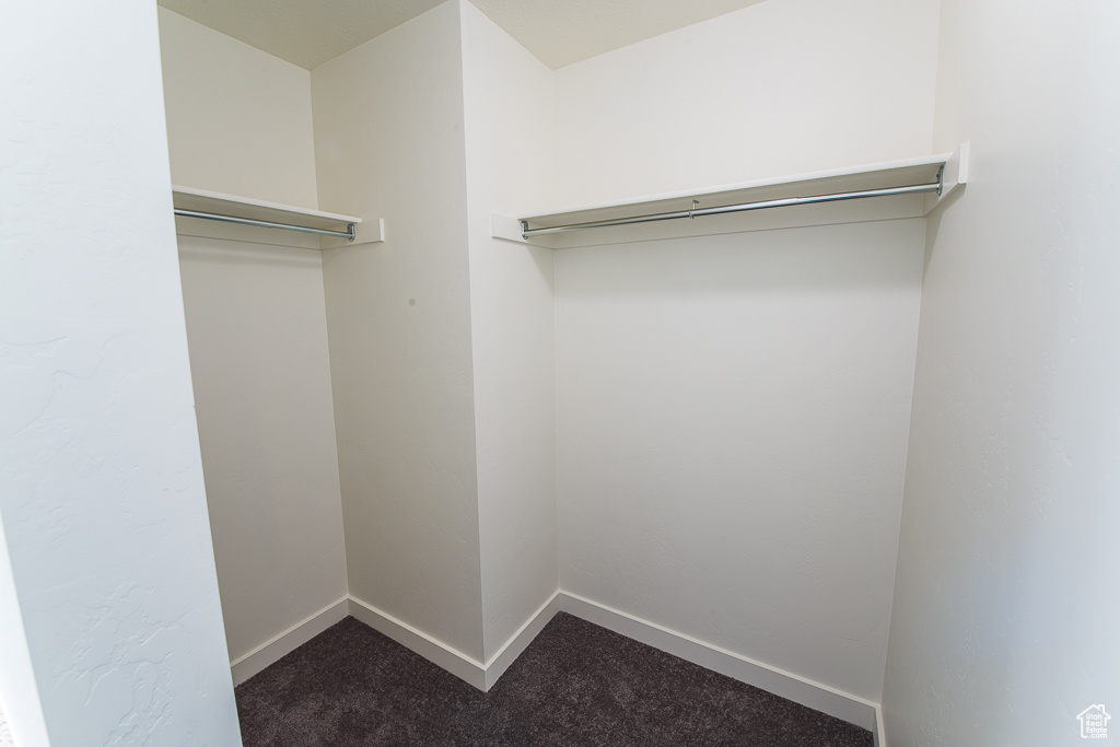 Spacious closet featuring dark colored carpet