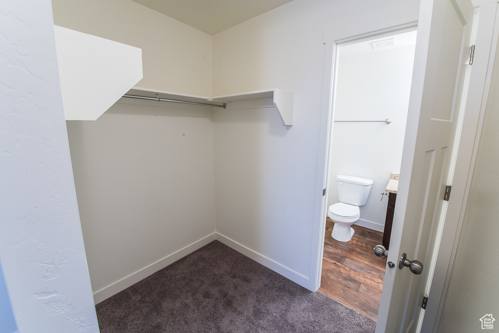 Spacious closet featuring dark colored carpet