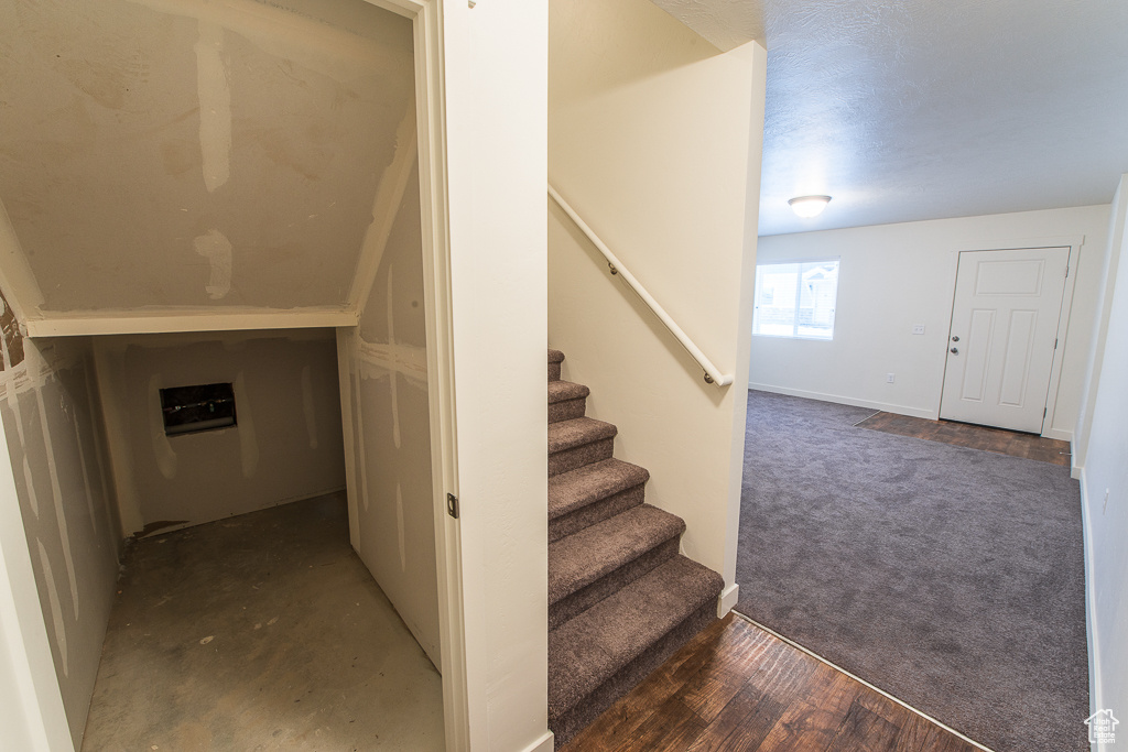 Staircase with carpet flooring