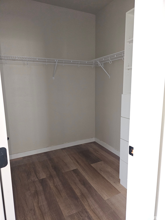 Walk in closet with hardwood / wood-style flooring