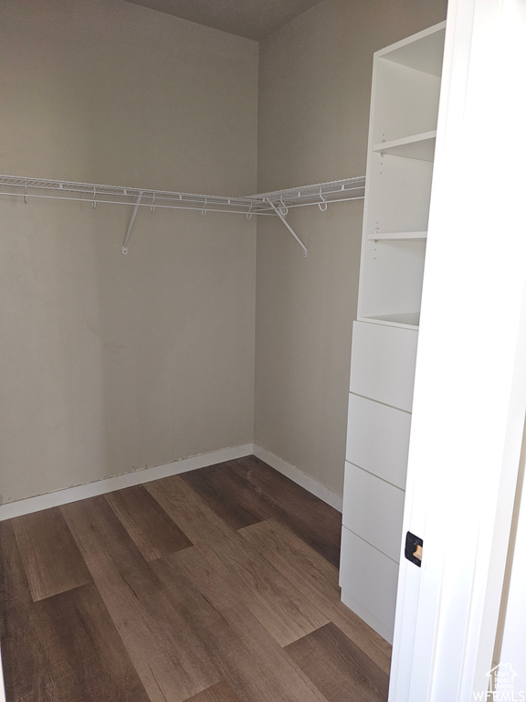 Walk in closet featuring hardwood / wood-style floors