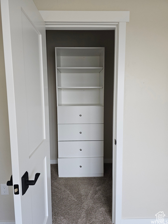 Spacious closet featuring carpet flooring