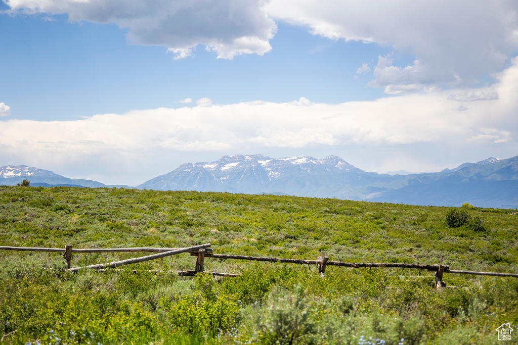Mountain view