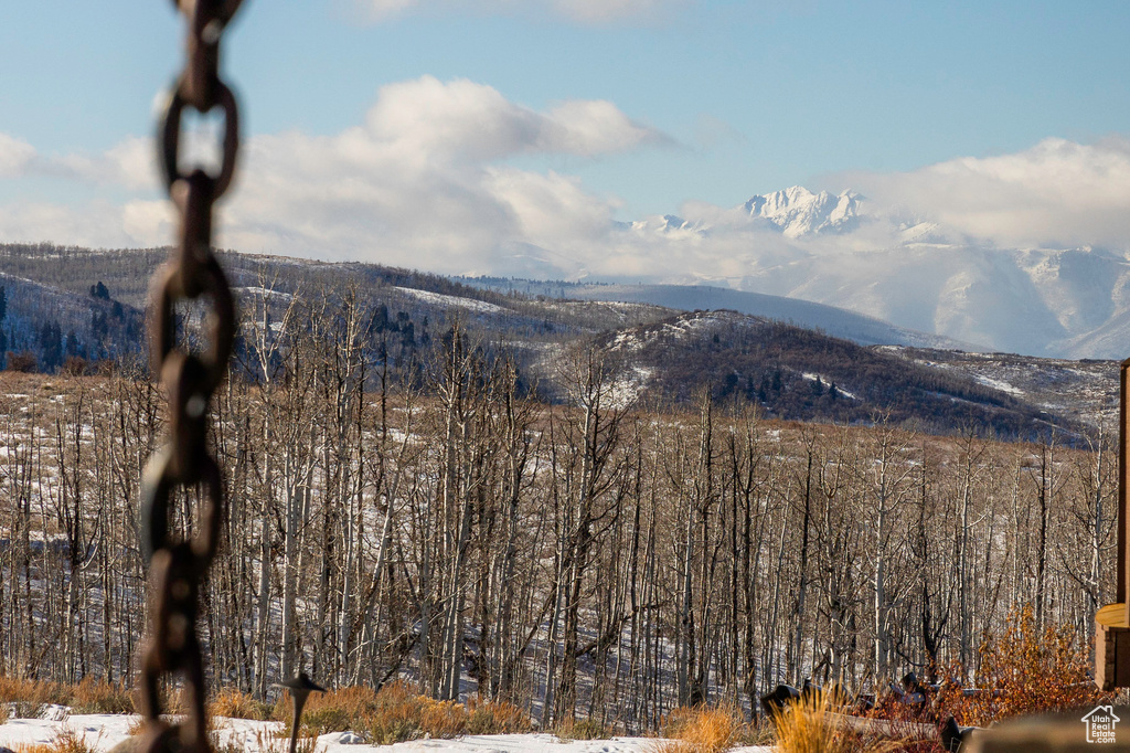 View of mountain background