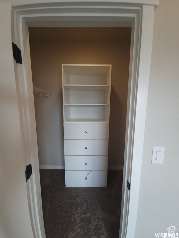 Spacious closet featuring carpet flooring