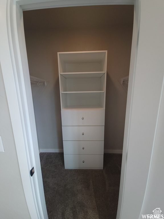 Walk in closet featuring dark colored carpet