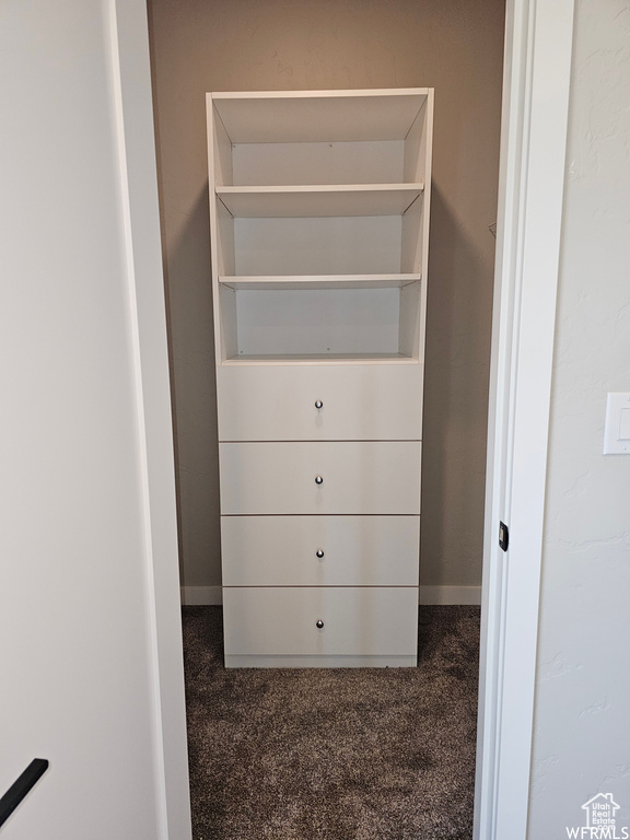 Walk in closet featuring dark colored carpet