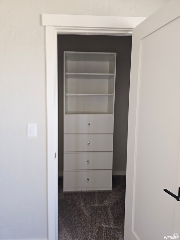 Spacious closet with dark carpet