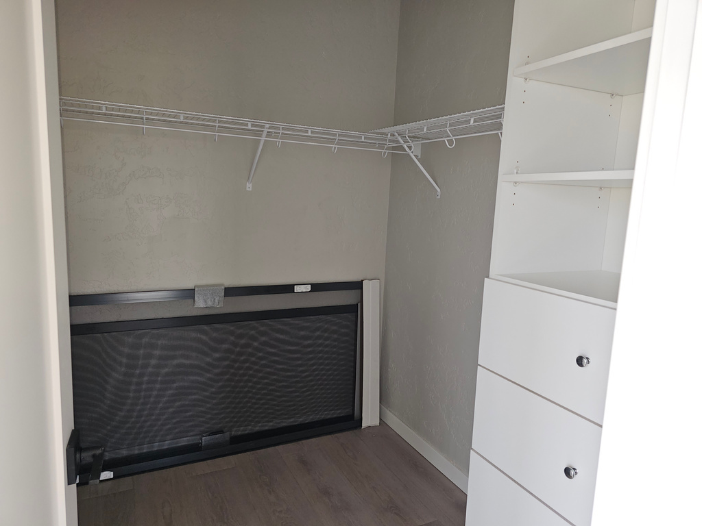 Walk in closet featuring dark hardwood / wood-style flooring