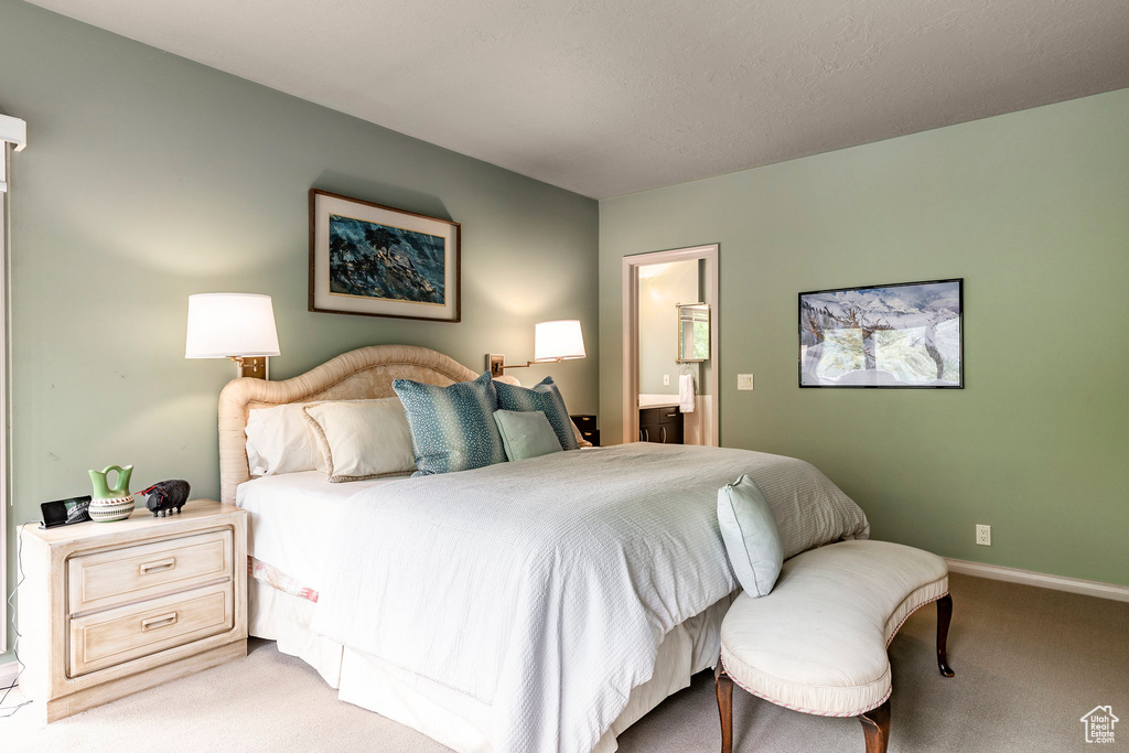 Carpeted bedroom with connected bathroom