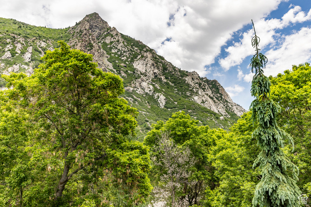 View of mountain feature