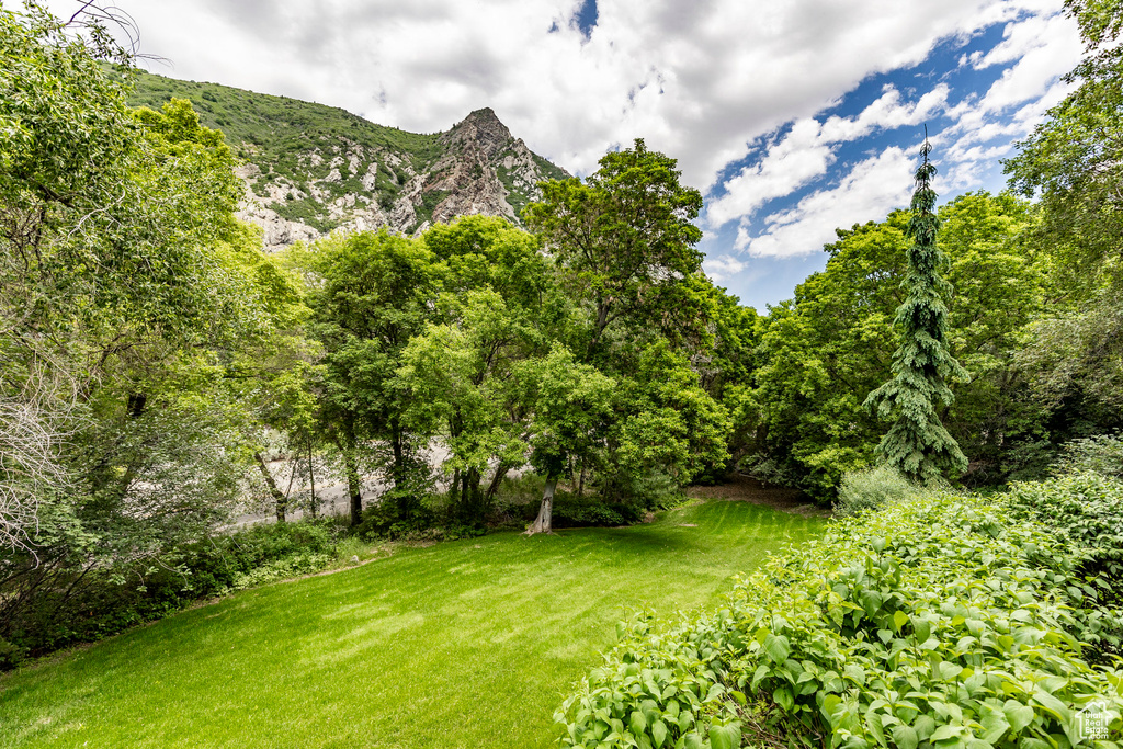 View of yard with a mountain view